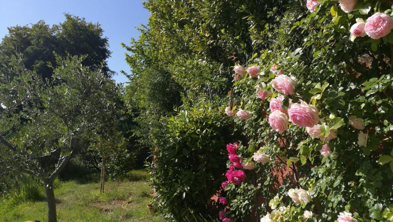 La Merla Perugia Zewnętrze zdjęcie