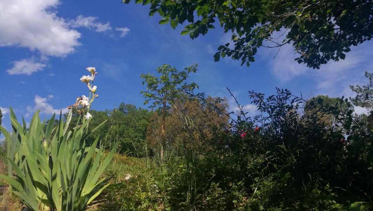La Merla Perugia Zewnętrze zdjęcie